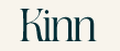 Kinn Coupon & Promo Codes