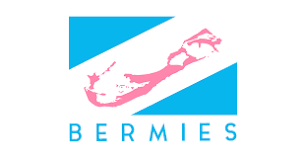 Bermies Coupon & Promo Codes